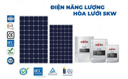 dien-nang-luong-hoa-luoi-5kw-01